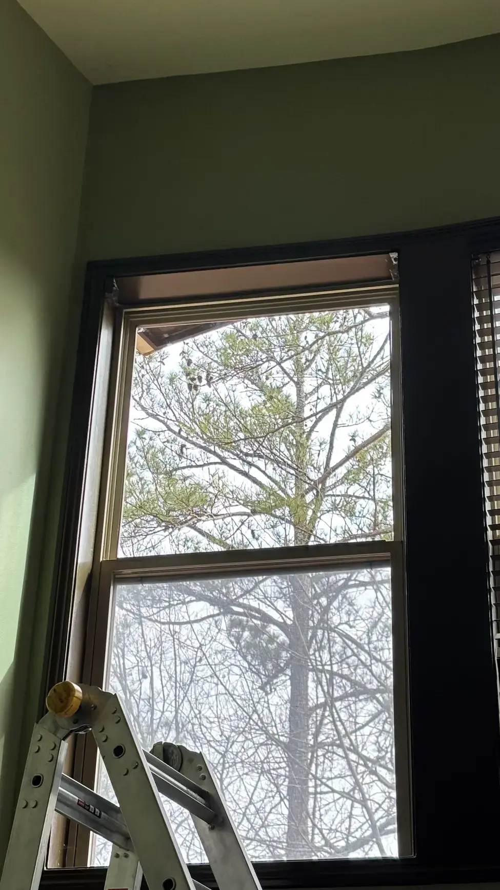 Image 5 low-e glass replacement